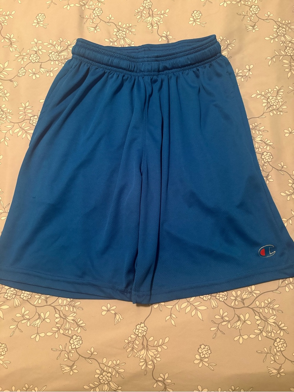 Champion Men's Royal Blue Athletic Mesh Shorts